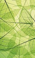 Dimex Leaf Veins Vlies Fotobehang 150x250cm 2-banen