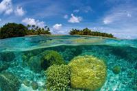 Dimex Coral Reef Vlies Fotobehang 375x250cm 5-banen