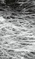 Dimex Hay Abstract II Fotobehang 150x250cm 2-banen