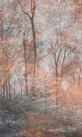 Dimex Colorful Forest Abstract Fotobehang 150x250cm 2-banen