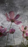 Dimex Violet Flower Abstract Fotobehang 150x250cm 2-banen
