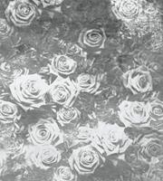 Dimex Roses Abstract II Fotobehang 225x250cm 3-banen