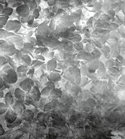 Dimex Apple Tree Abstract II Fotobehang 225x250cm 3-banen