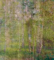 Dimex Leaves Abstract Fotobehang 225x250cm 3-banen