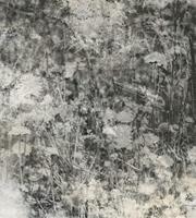 Dimex Nature Gray Abstract Fotobehang 225x250cm 3-banen