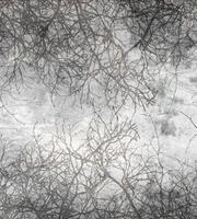Dimex Branch Abstract Fotobehang 225x250cm 3-banen