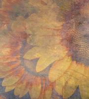 Dimex Sunflower Abstract Fotobehang 225x250cm 3-banen