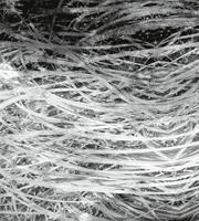 Dimex Hay Abstract II Fotobehang 225x250cm 3-banen