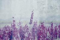 Dimex Lavender Abstract Fotobehang 375x250cm 5-banen