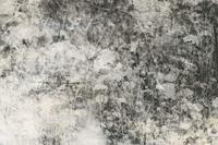 Dimex Nature Gray Abstract Fotobehang 375x250cm 5-banen
