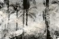 Dimex Palm Trees Abstract Fotobehang 375x250cm 5-banen