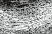 Dimex Hay Abstract II Fotobehang 375x250cm 5-banen