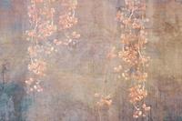 Dimex Currant Abstract Fotobehang 375x250cm 5-banen