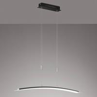 FISCHER & HONSEL LED hanglamp Metis dimbaar, CCT, zwart, 90cm