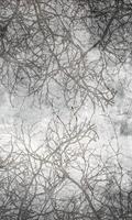 Dimex Branch Abstract Fotobehang 150x250cm 2-banen