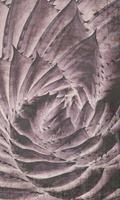 Dimex Cactus Abstract Fotobehang 150x250cm 2-banen