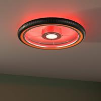 Evotec LED plafondlamp Wheel, RGB, zwart