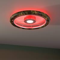 Evotec LED plafondlamp Wheel, RGB, camouflage