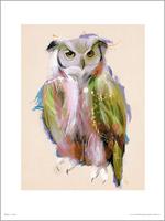 GBeye Owl Paint Kunstdruk 50x70cm