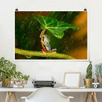 Klebefieber Poster Ein Frosch im Regen