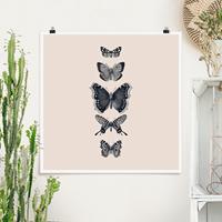 Klebefieber Poster Tusche Schmetterlinge auf Beige