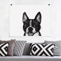 Klebefieber Poster Illustration Hund Boston Schwarz Weiß Malerei