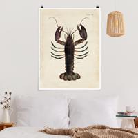 Klebefieber Poster Vintage Illustration Hummer