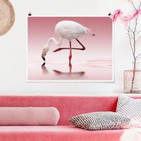 Klebefieber Poster Flamingo Dance