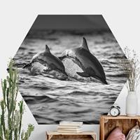 Klebefieber Hexagon Fototapete selbstklebend Zwei springende Delfine