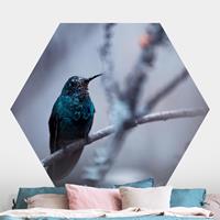Klebefieber Hexagon Fototapete selbstklebend Kolibri im Winter