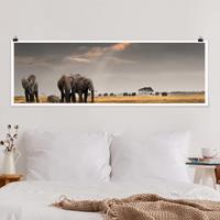 Klebefieber Poster Matt inkl. Posterklammern Elefanten der Savanne