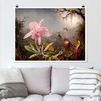 Klebefieber Poster Martin Johnson Heade - Orchidee und drei Kolibris