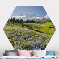 Klebefieber Hexagon Fototapete selbstklebend Bergwiese mit Blumen vor Mt. Rainier