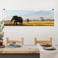 Klebefieber Poster Matt inkl. Posterklammern Elefanten vor dem Kilimanjaro in Kenya