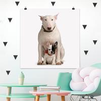 Klebefieber Poster Bull Terrier and friend