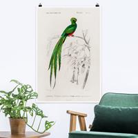Klebefieber Poster Vintage Lehrtafel Tropischer Vogel I