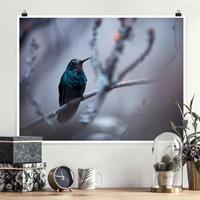 Klebefieber Poster Kolibri im Winter