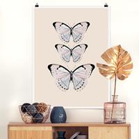 Klebefieber Poster Schmetterling auf Beige