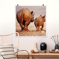 Klebefieber Poster Wandering Rhinos