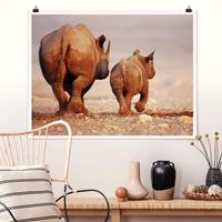 Klebefieber Poster Wandering Rhinos