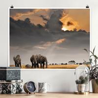 Klebefieber Poster Elefanten der Savanne