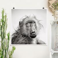 Klebefieber Poster Crying Baboon