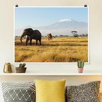 Klebefieber Poster Elefanten vor dem Kilimanjaro in Kenia