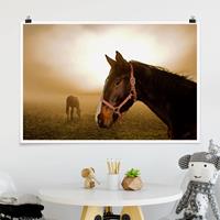 Klebefieber Poster Early Horse