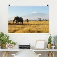 Klebefieber Poster Elefanten vor dem Kilimanjaro in Kenya