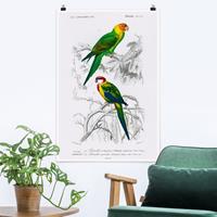 Klebefieber Poster Vintage Lehrtafel Zwei Papageien Grün Rot