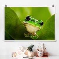 Klebefieber Poster Wetterfrosch