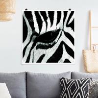 Klebefieber Poster Zebra Crossing