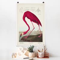 Klebefieber Poster Vintage Lehrtafel Amerikanischer Flamingo
