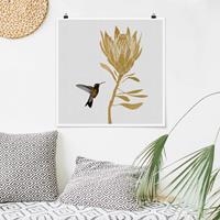 Klebefieber Poster Kolibri und tropische goldene Blüte